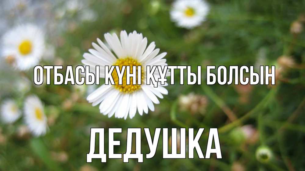 Күн сайын ашық хат с именем, Дедушка отбасы күні құтты болсын с днем семьи Онлайн тегін жүктеп алу тілектері бар керемет карта 