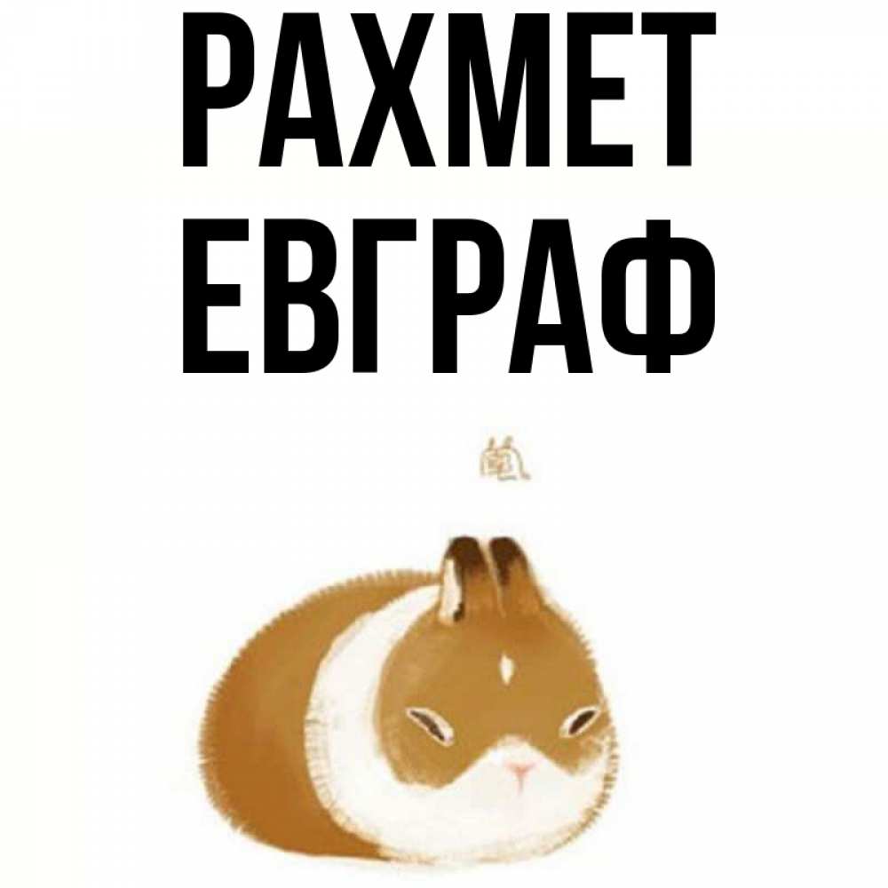 Күн сайын ашық хат с именем, Евграф рахмет коричнево белый домашний питомец Онлайн тегін жүктеп алу тілектері бар керемет карта 