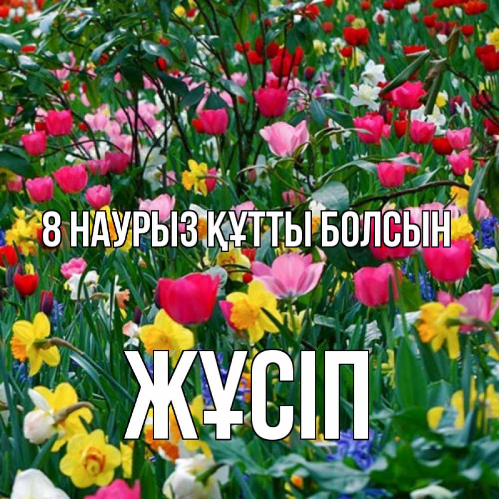 Күн сайын ашық хат с именем, Жұсіп 8 наурыз құтты болсын с международным женским днем поздравления для женщины Онлайн тегін жүктеп алу тілектері бар керемет карта 