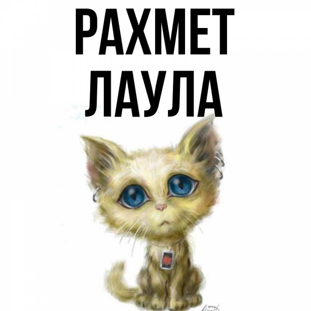 Күн сайын ашық хат с именем, ЛАУЛА рахмет рисованный кот благодарит вас Онлайн тегін жүктеп алу тілектері бар керемет карта 