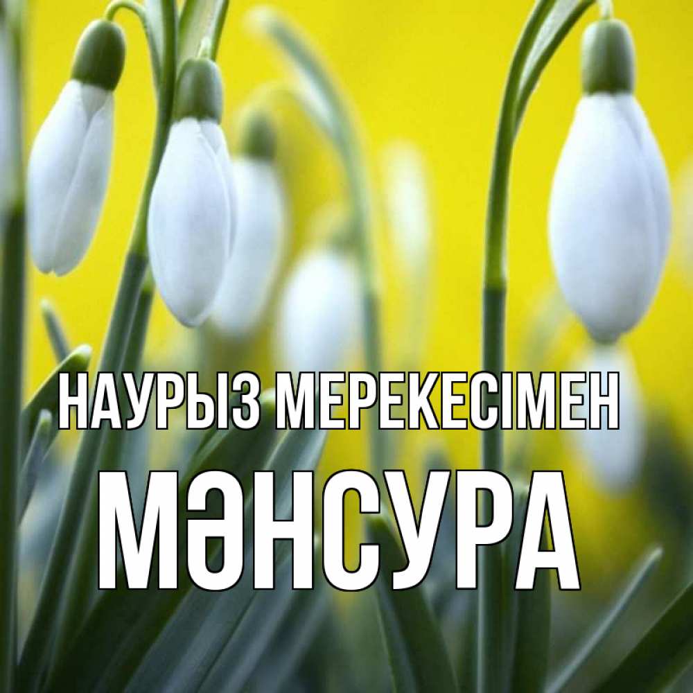 Күн сайын ашық хат с именем, МӘНСУРА Наурыз мерекесімен весенние цветы Онлайн тегін жүктеп алу тілектері бар керемет карта 