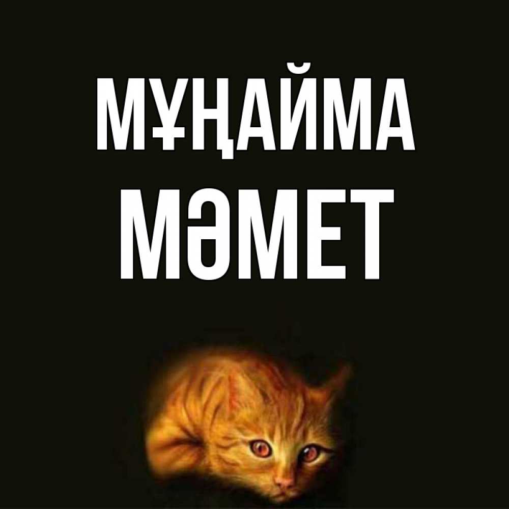 Күн сайын ашық хат с именем, Мәмет Мұңайма лежащий кот в темноте Онлайн тегін жүктеп алу тілектері бар керемет карта 