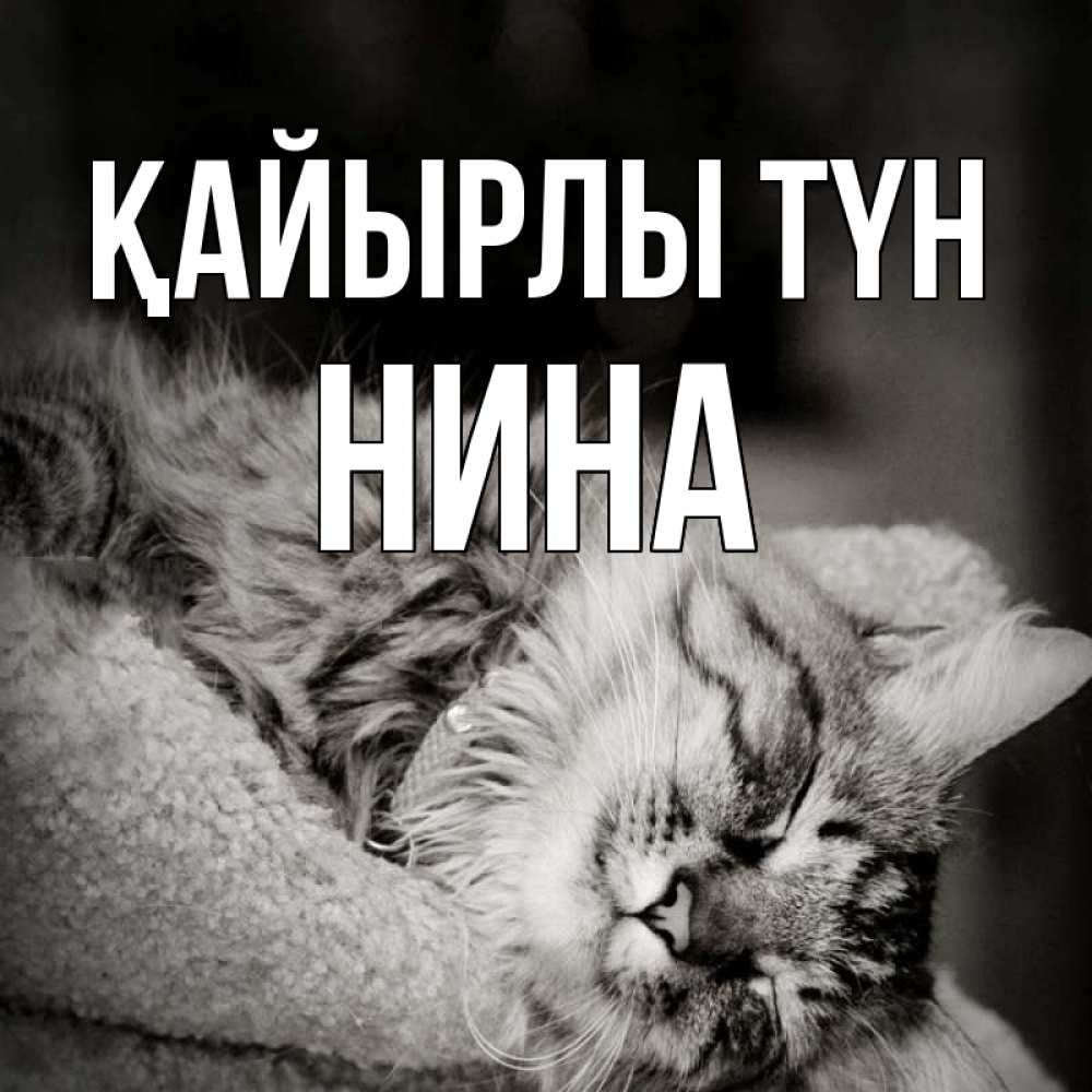 Күн сайын ашық хат с именем, Нина Қайырлы түн котярик пушистый Онлайн тегін жүктеп алу тілектері бар керемет карта 