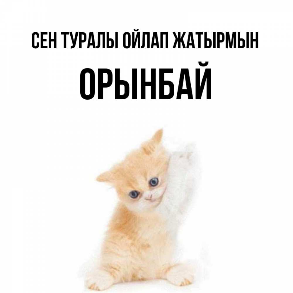 Күн сайын ашық хат с именем, ОРЫНБАЙ Сен туралы ойлап жатырмын зверушки и милота Онлайн тегін жүктеп алу тілектері бар керемет карта 