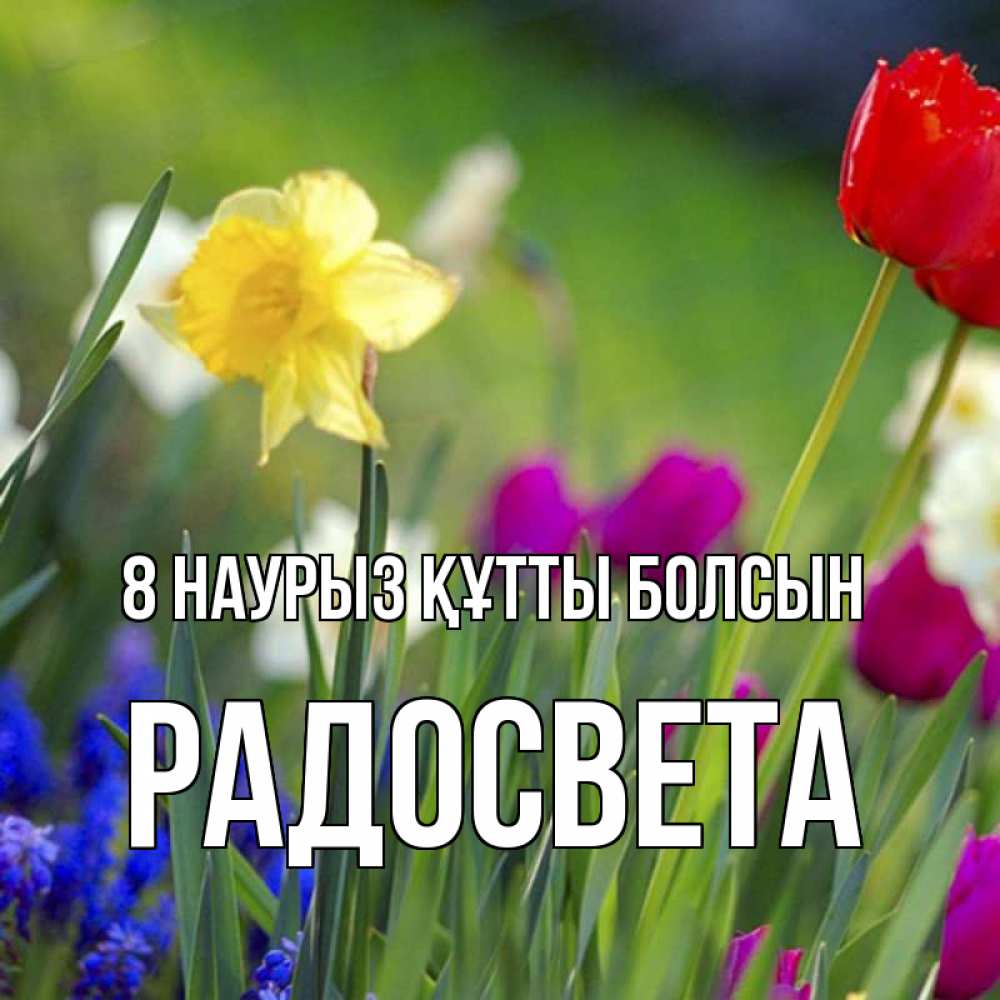 Күн сайын ашық хат с именем, Радосвета 8 наурыз құтты болсын международный женский день 3 Онлайн тегін жүктеп алу тілектері бар керемет карта 