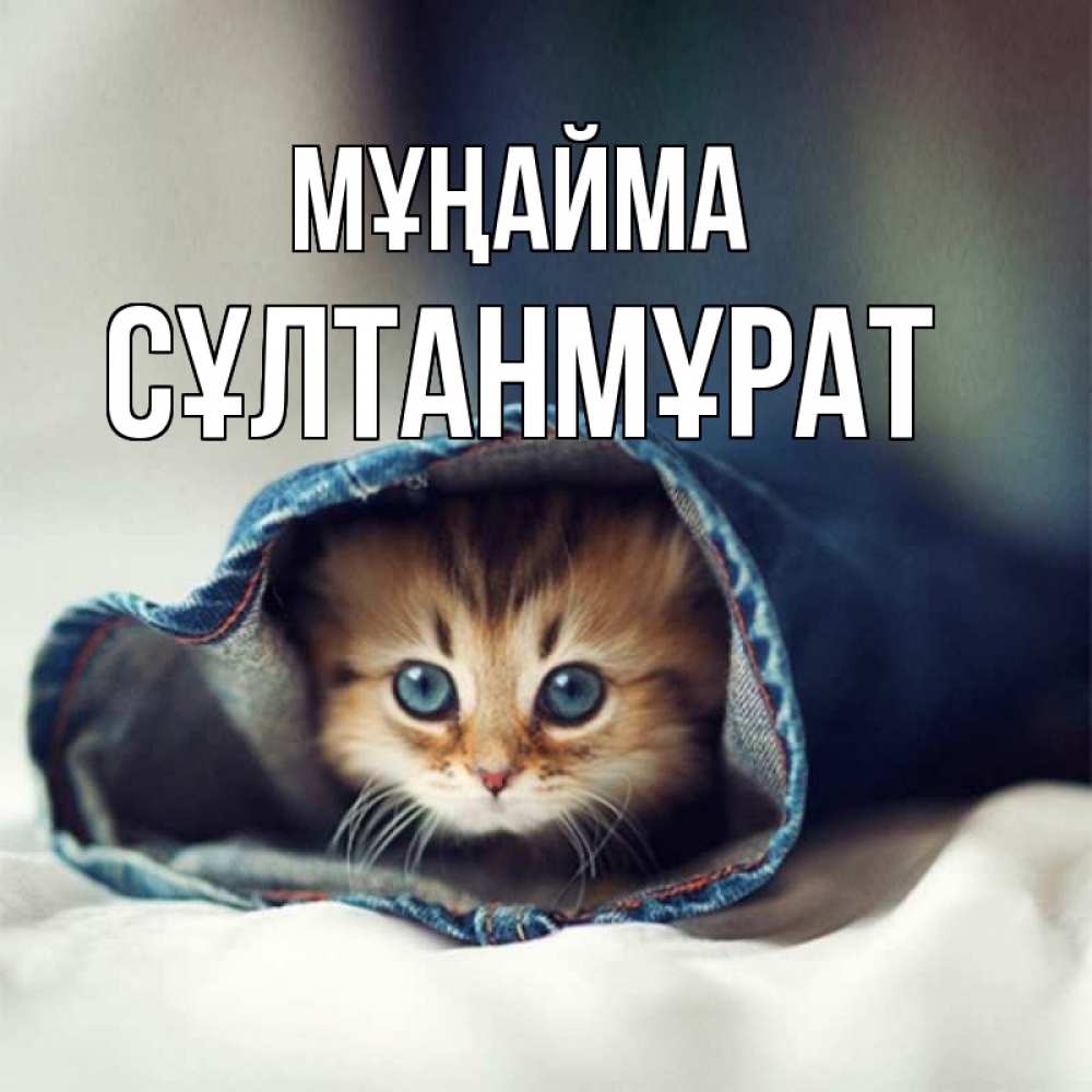 Күн сайын ашық хат с именем, СҰЛТАНМҰРАТ Мұңайма рыжик котик Онлайн тегін жүктеп алу тілектері бар керемет карта 