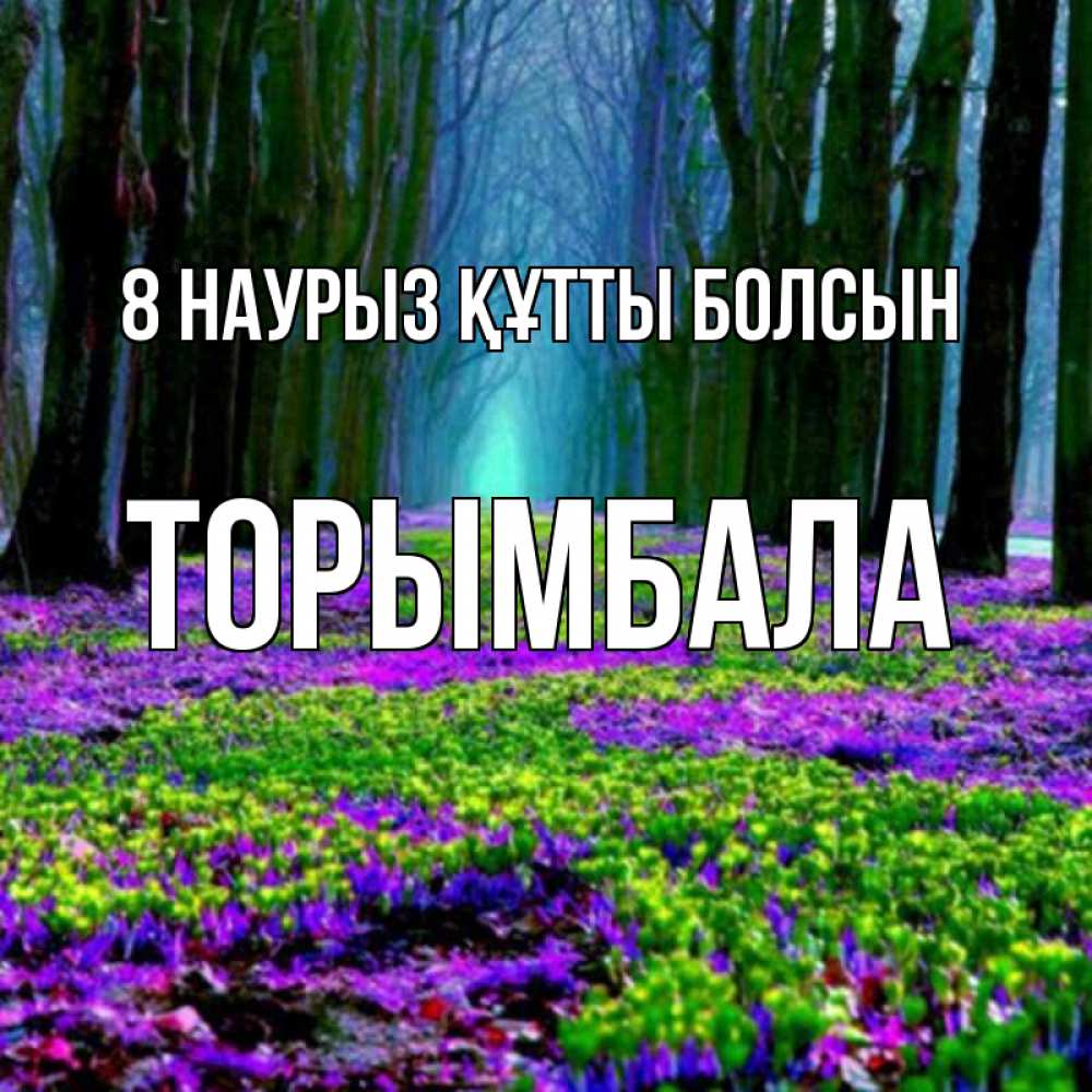 Күн сайын ашық хат с именем, ТОРЫМБАЛА 8 наурыз құтты болсын фиолетовые цветы в лесу 1 Онлайн тегін жүктеп алу тілектері бар керемет карта 