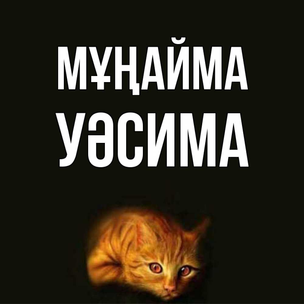 Күн сайын ашық хат с именем, УӘСИМА Мұңайма лежащий кот в темноте Онлайн тегін жүктеп алу тілектері бар керемет карта 
