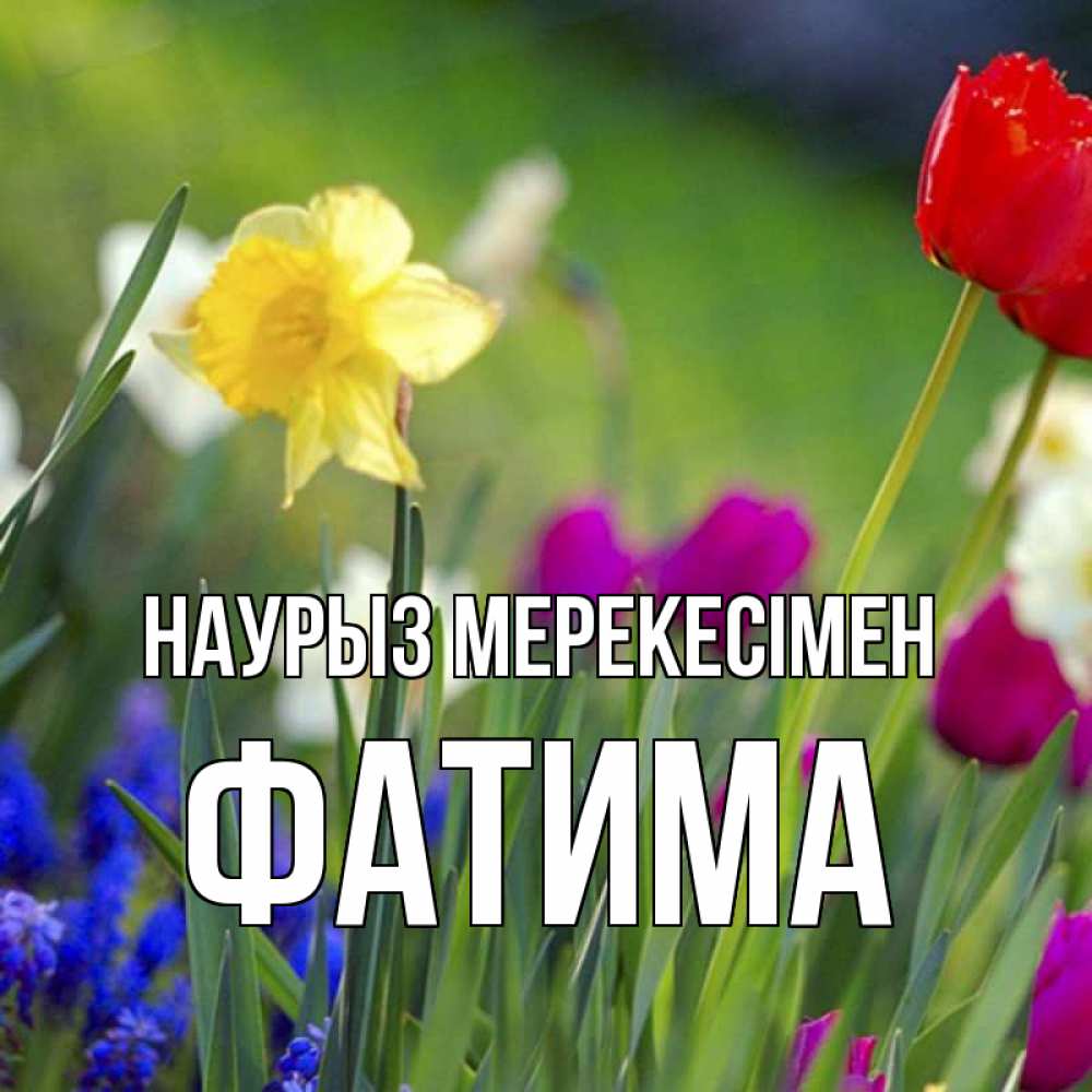 Күн сайын ашық хат с именем, ФАТИМА Наурыз мерекесімен праздник весны наурыз 3 Онлайн тегін жүктеп алу тілектері бар керемет карта 
