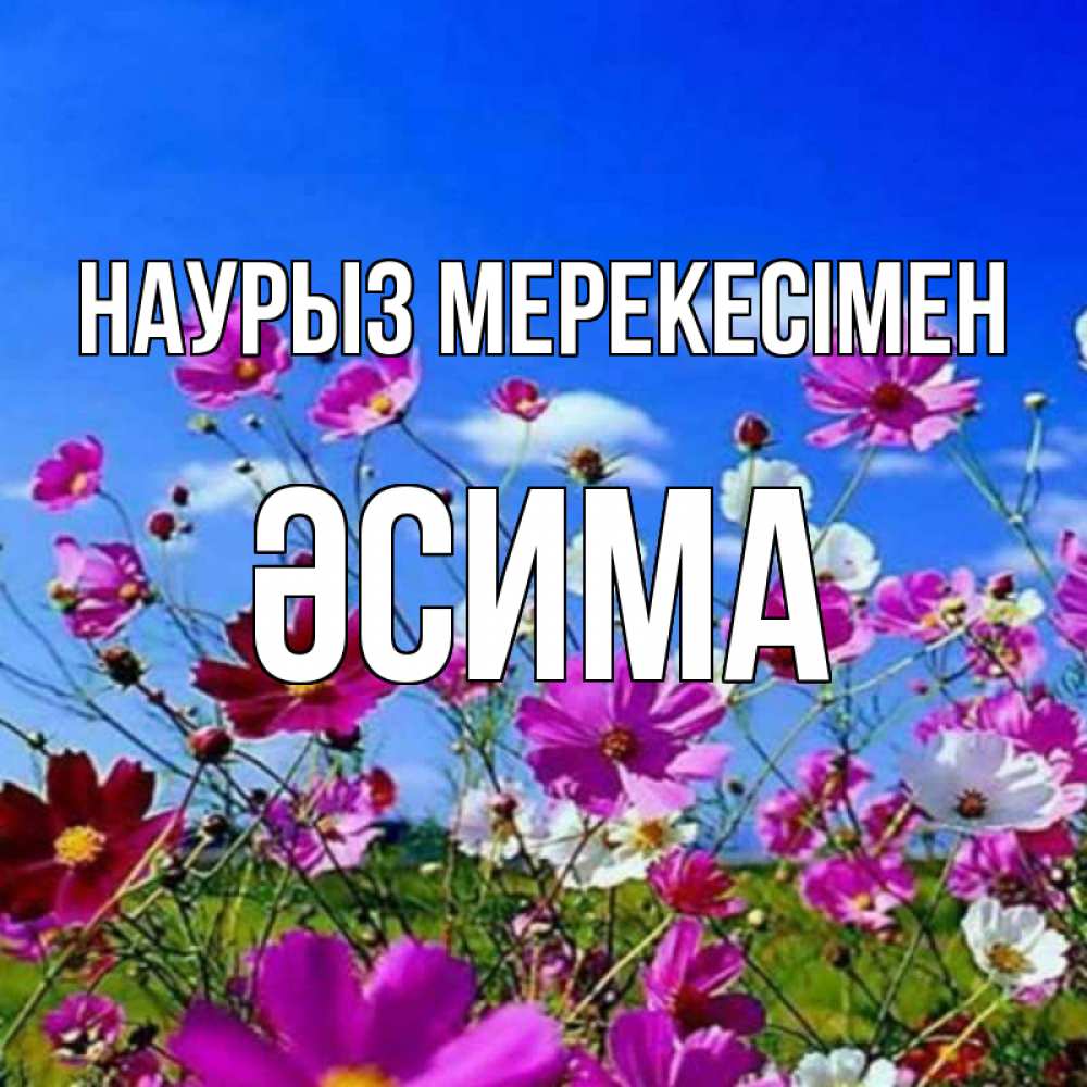 Күн сайын ашық хат с именем, ӘСИМА Наурыз мерекесімен цветы Онлайн тегін жүктеп алу тілектері бар керемет карта 