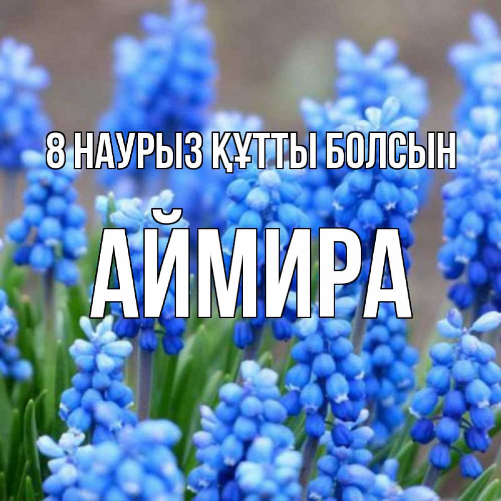 Күн сайын ашық хат с именем, АЙМИРА 8 наурыз құтты болсын Поздравительная открытка для женщин с цветами на праздничную дату Онлайн тегін жүктеп алу тілектері бар керемет карта 
