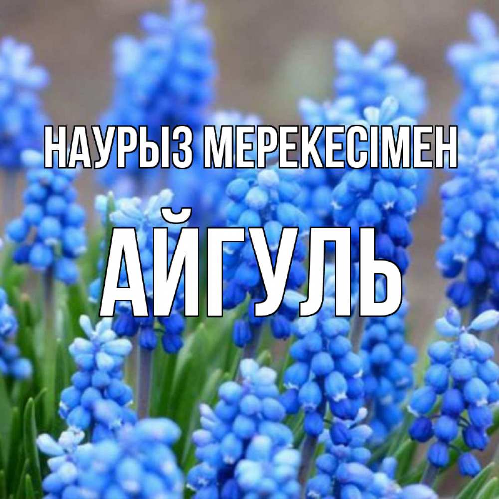 Күн сайын ашық хат с именем, Айгуль Наурыз мерекесімен Поздравительная открытка для женщин с цветами на праздничную дату Онлайн тегін жүктеп алу тілектері бар керемет карта 