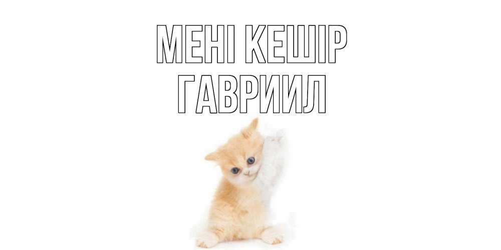 Күн сайын ашық хат с именем, Гавриил Мені кешір кот Онлайн тегін жүктеп алу тілектері бар керемет карта 