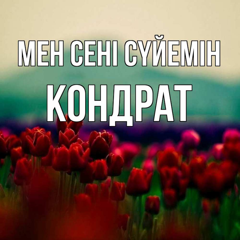 Күн сайын ашық хат с именем, Кондрат Мен сені сүйемін тюльпаны 4 Онлайн тегін жүктеп алу тілектері бар керемет карта 