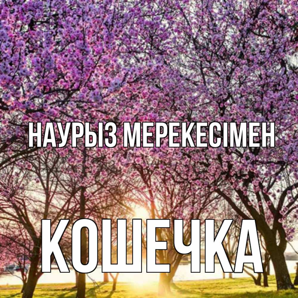 Күн сайын ашық хат с именем, Кошечка Наурыз мерекесімен праздник весны наурыз Онлайн тегін жүктеп алу тілектері бар керемет карта 