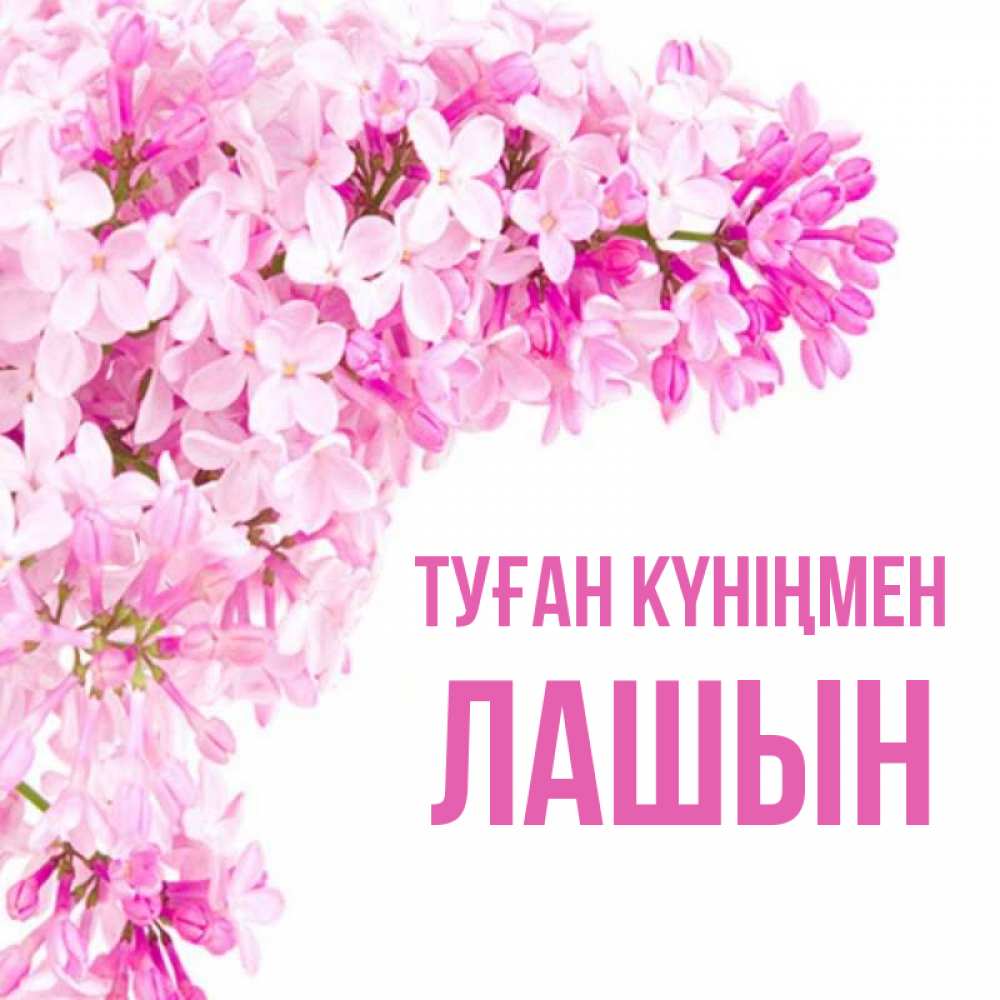 Күн сайын ашық хат с именем, ЛАШЫН Туған күніңмен Сирень на белом фоне Онлайн тегін жүктеп алу тілектері бар керемет карта 