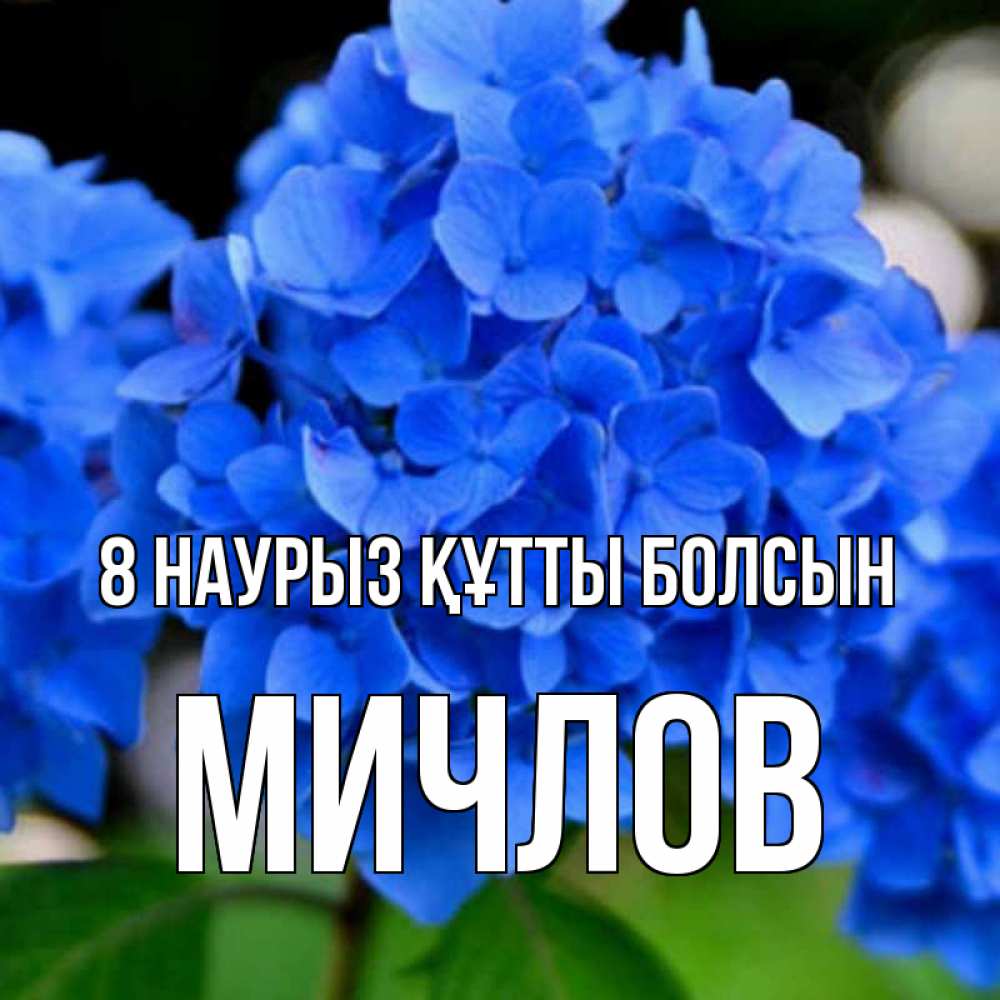 Күн сайын ашық хат с именем, Мичлов 8 наурыз құтты болсын синие цветы Онлайн тегін жүктеп алу тілектері бар керемет карта 