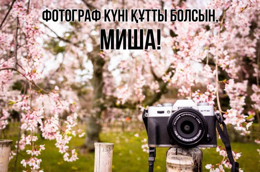 Күн сайын ашық хат с именем, Миша Фотограф күні құтты болсын сирень с днем фотографа, фотоаппарат Онлайн тегін жүктеп алу тілектері бар керемет карта 