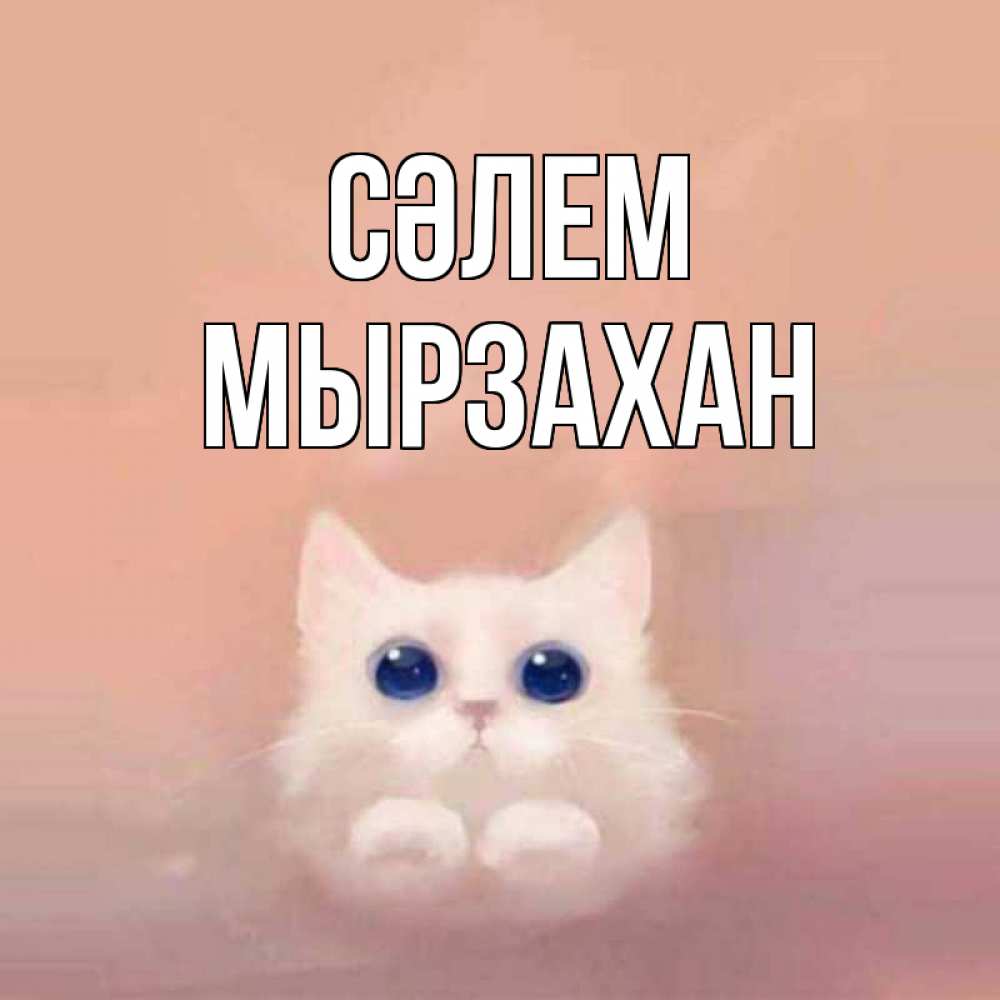 Күн сайын ашық хат с именем, Мырзахан Сәлем котик белый в полете Онлайн тегін жүктеп алу тілектері бар керемет карта 