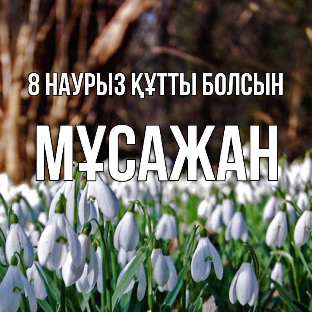 Күн сайын ашық хат с именем, Мұсажан 8 наурыз құтты болсын с подснежниками 1 Онлайн тегін жүктеп алу тілектері бар керемет карта 