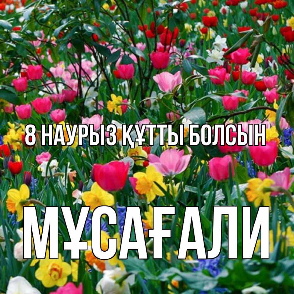 Күн сайын ашық хат с именем, Мұсағали 8 наурыз құтты болсын с международным женским днем поздравления для женщины Онлайн тегін жүктеп алу тілектері бар керемет карта 