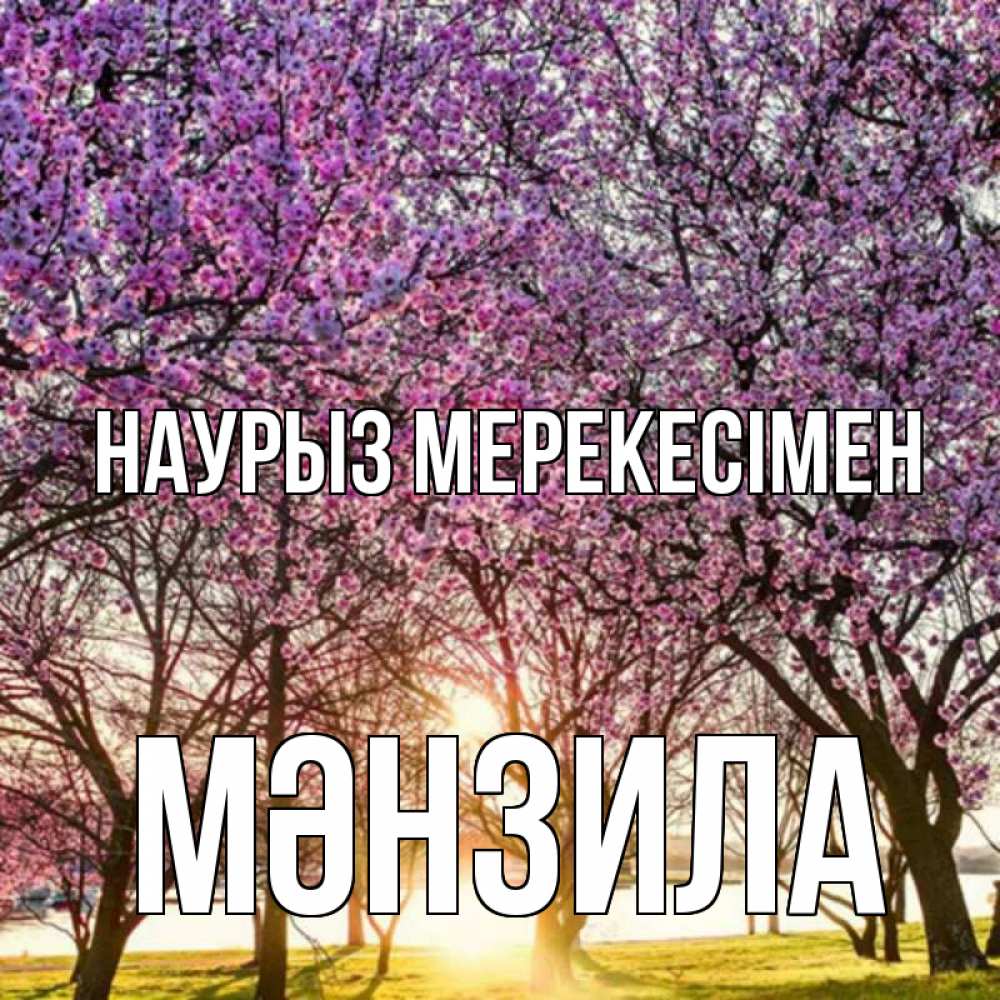 Күн сайын ашық хат с именем, МӘНЗИЛА Наурыз мерекесімен праздник весны наурыз Онлайн тегін жүктеп алу тілектері бар керемет карта 