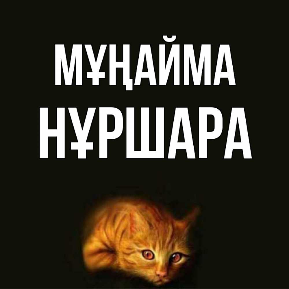 Күн сайын ашық хат с именем, НҰРШАРА Мұңайма лежащий кот в темноте Онлайн тегін жүктеп алу тілектері бар керемет карта 