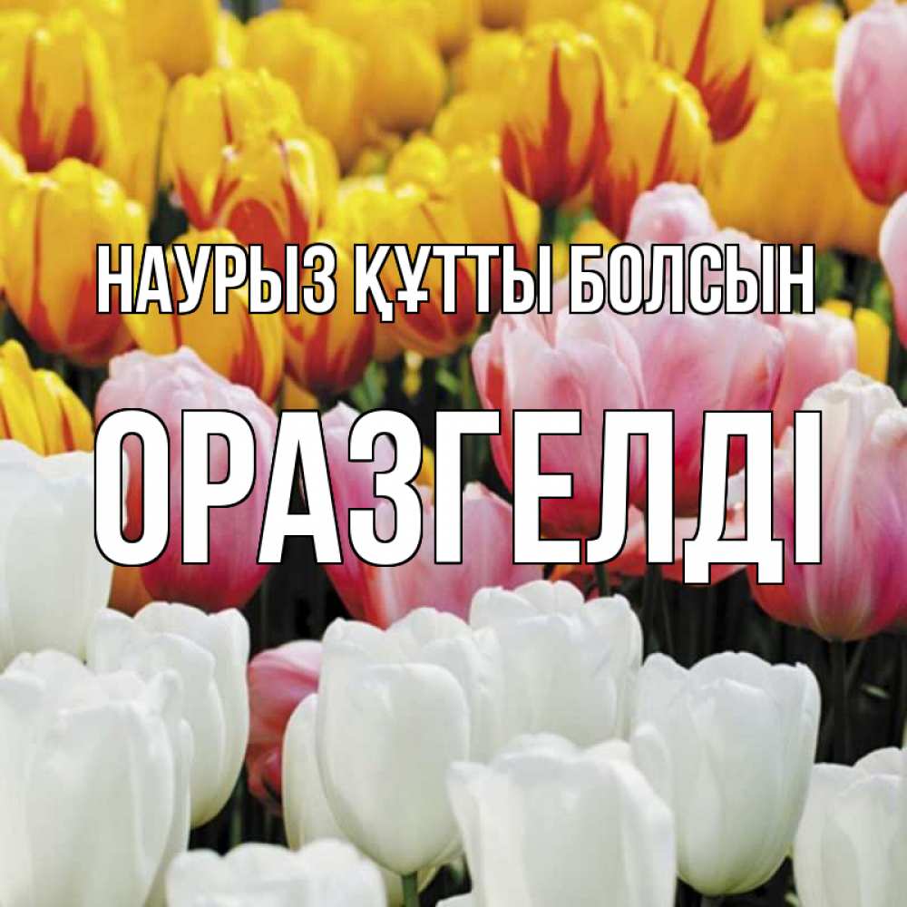 Күн сайын ашық хат с именем, ОРАЗГЕЛДІ Наурыз құтты болсын разноцветные цветы Онлайн тегін жүктеп алу тілектері бар керемет карта 