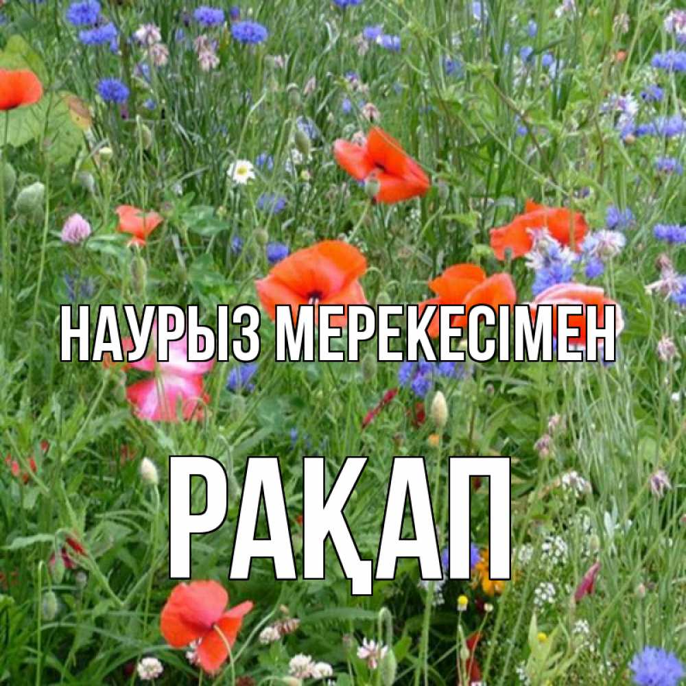 Күн сайын ашық хат с именем, РАҚАП Наурыз мерекесімен праздник весны наурыз супер открытка Онлайн тегін жүктеп алу тілектері бар керемет карта 