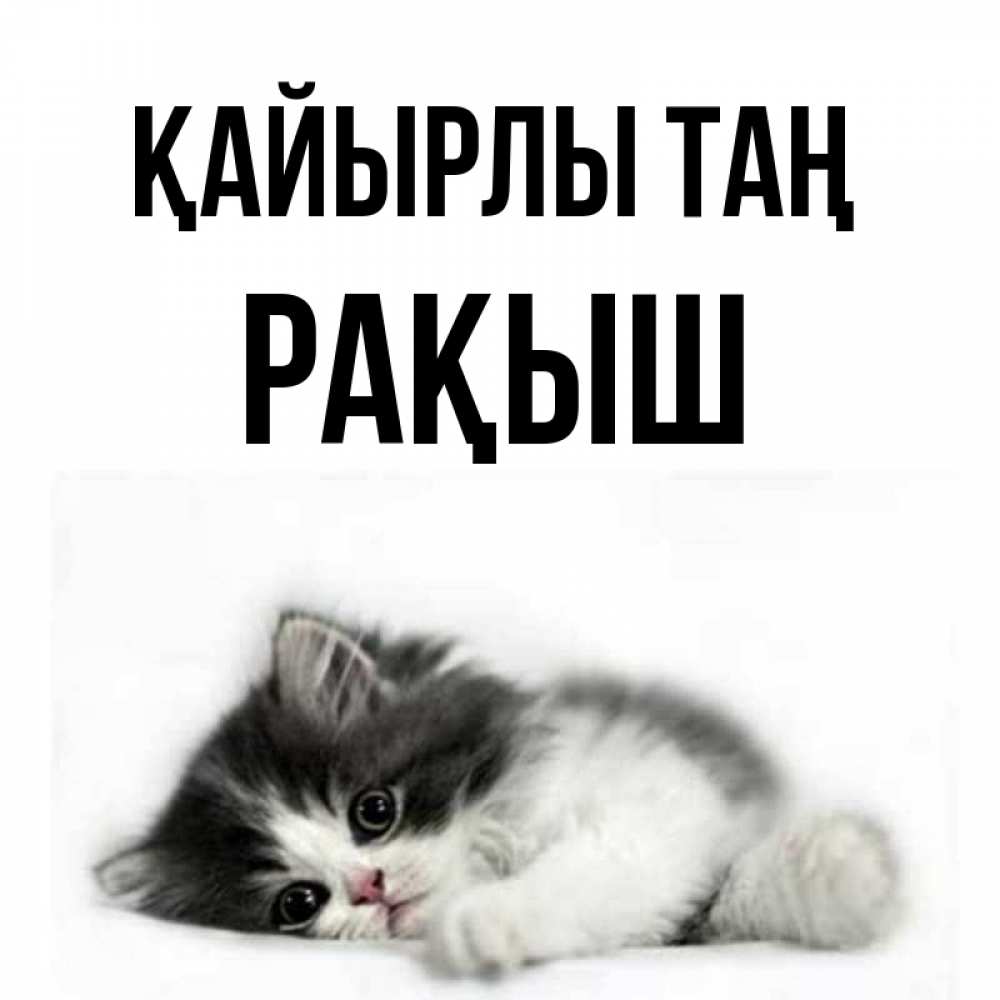 Күн сайын ашық хат с именем, Рақыш Қайырлы таң кот лапки Онлайн тегін жүктеп алу тілектері бар керемет карта 