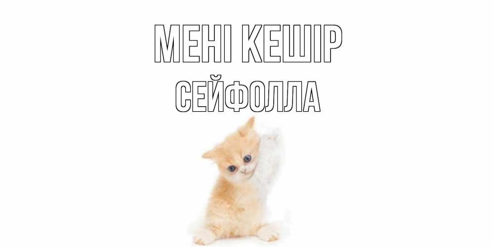 Күн сайын ашық хат с именем, СЕЙФОЛЛА Мені кешір кот Онлайн тегін жүктеп алу тілектері бар керемет карта 
