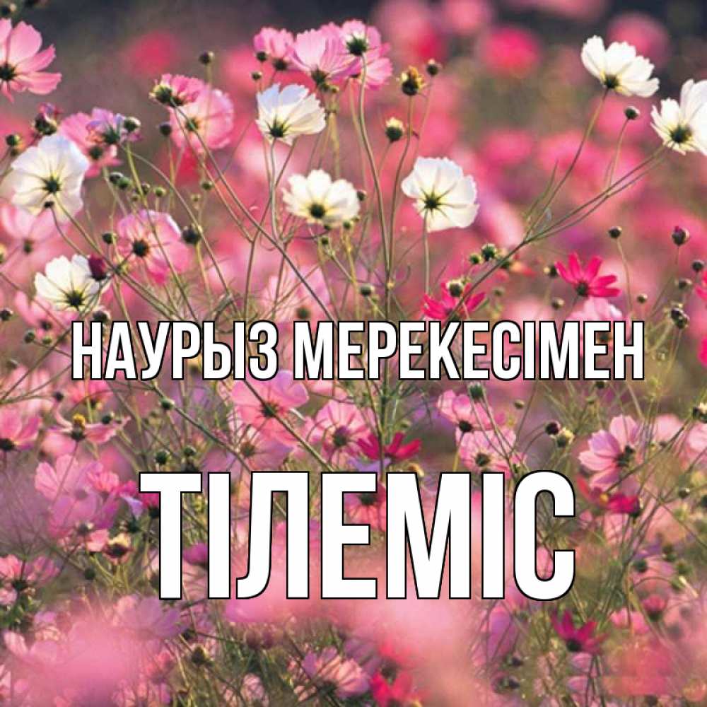 Күн сайын ашық хат с именем, ТІЛЕМІС Наурыз мерекесімен красиво 1 Онлайн тегін жүктеп алу тілектері бар керемет карта 