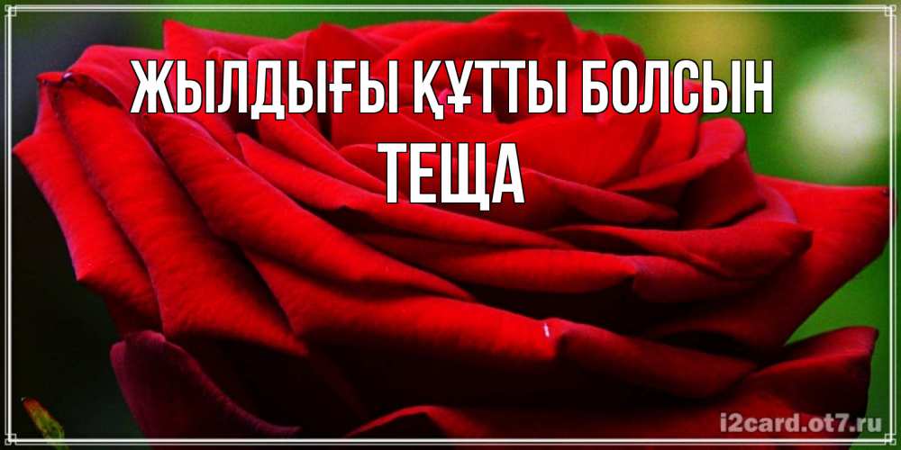 Күн сайын ашық хат с именем, Теща Жылдығы құтты болсын розочка очень красивая Онлайн тегін жүктеп алу тілектері бар керемет карта 
