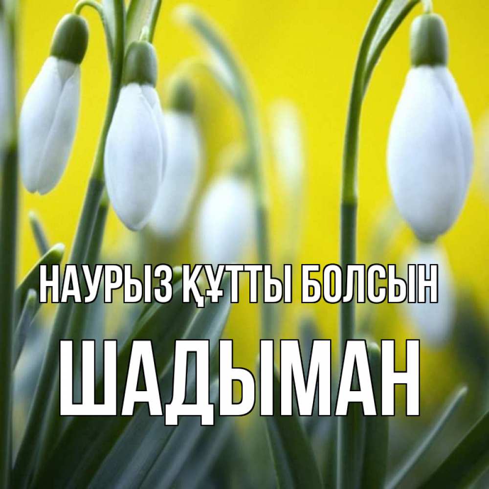 Күн сайын ашық хат с именем, ШАДЫМАН Наурыз құтты болсын весенние цветы Онлайн тегін жүктеп алу тілектері бар керемет карта 