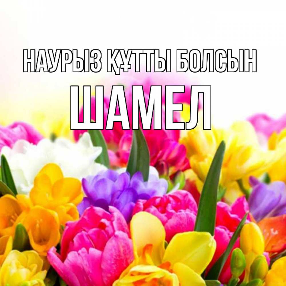 Күн сайын ашық хат с именем, ШАМЕЛ Наурыз құтты болсын тюльпаны Онлайн тегін жүктеп алу тілектері бар керемет карта 