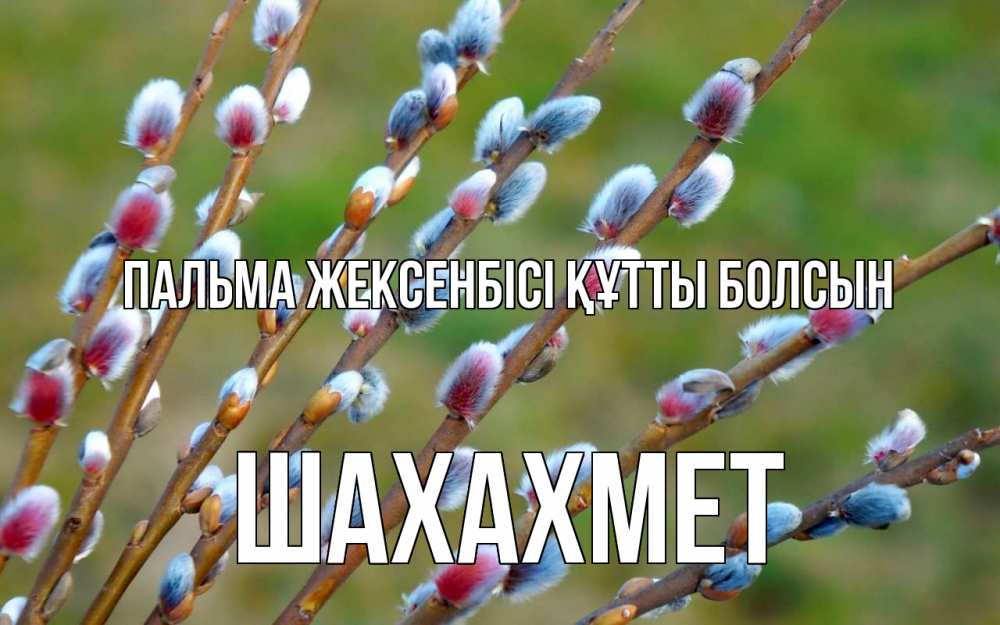 Күн сайын ашық хат с именем, ШАХАХМЕТ Пальма жексенбісі құтты болсын верба Онлайн тегін жүктеп алу тілектері бар керемет карта 