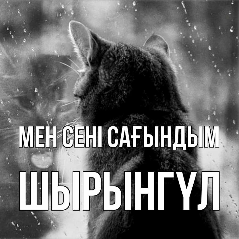Күн сайын ашық хат с именем, ШЫРЫНГҮЛ Мен сені сағындым скорее ко мне приходи 1 Онлайн тегін жүктеп алу тілектері бар керемет карта 