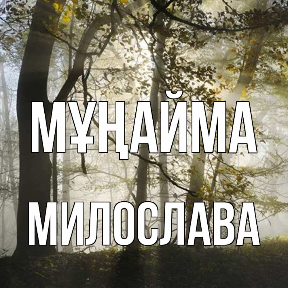 Күн сайын ашық хат с именем, Милослава Мұңайма лес и свет Онлайн тегін жүктеп алу тілектері бар керемет карта 