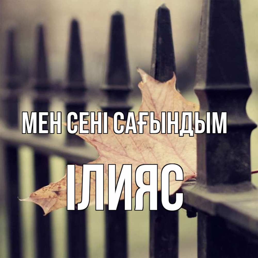 Күн сайын ашық хат с именем, ІЛИЯС Мен сені сағындым очень скучно Онлайн тегін жүктеп алу тілектері бар керемет карта 