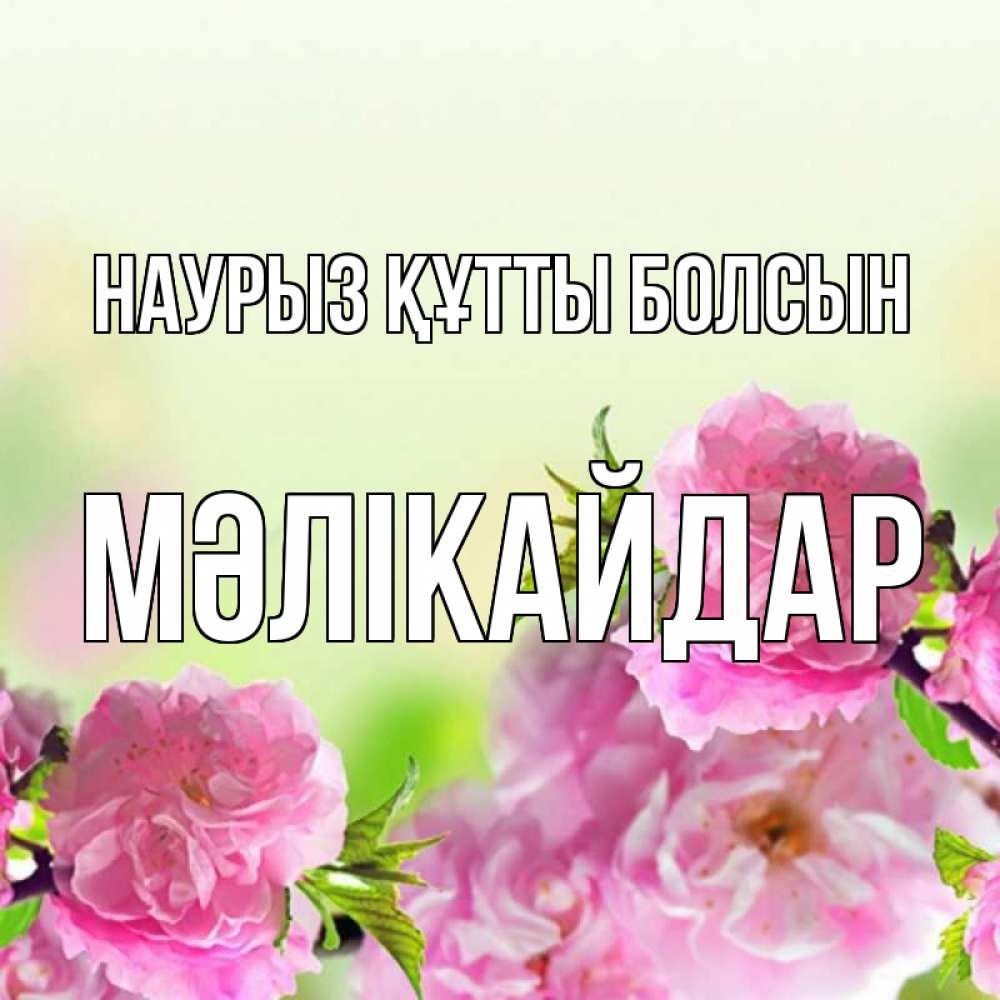 Күн сайын ашық хат с именем, МӘЛІКАЙДАР Наурыз құтты болсын цветы Онлайн тегін жүктеп алу тілектері бар керемет карта 