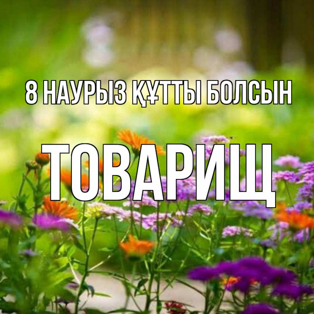 Күн сайын ашық хат с именем, Товарищ 8 наурыз құтты болсын цветы Онлайн тегін жүктеп алу тілектері бар керемет карта 