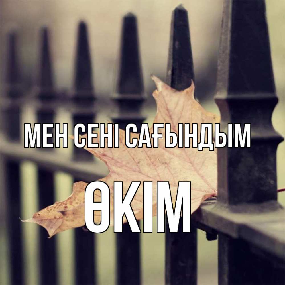Күн сайын ашық хат с именем, ӨКІМ Мен сені сағындым очень скучно Онлайн тегін жүктеп алу тілектері бар керемет карта 