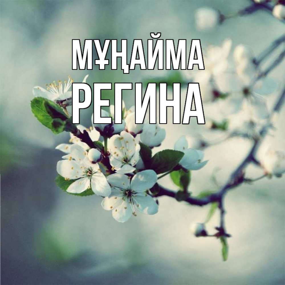 Күн сайын ашық хат с именем, Регина Мұңайма яблоня в цвету 1 Онлайн тегін жүктеп алу тілектері бар керемет карта 