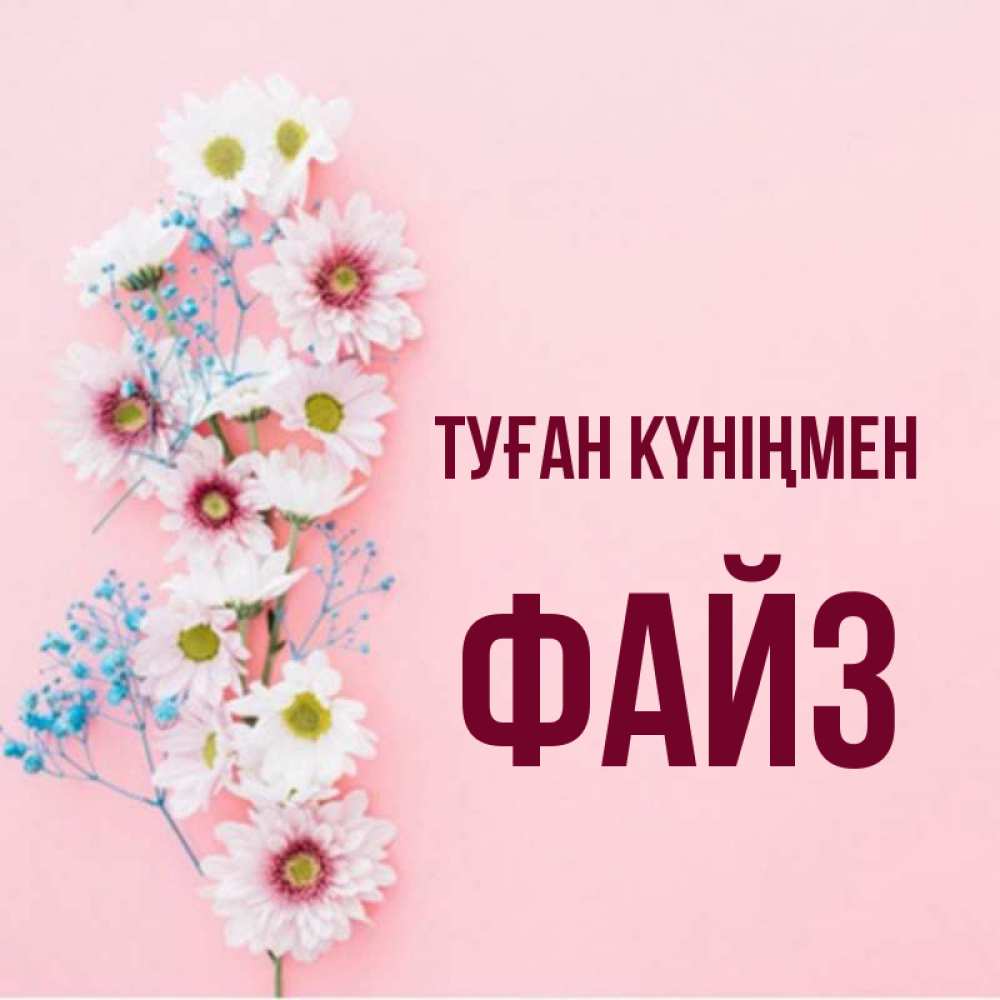 Күн сайын ашық хат с именем, ФАЙЗ Туған күніңмен Родная моя с днем рождения тебя картинка с цветами белыми и голубыми Онлайн тегін жүктеп алу тілектері бар керемет карта 