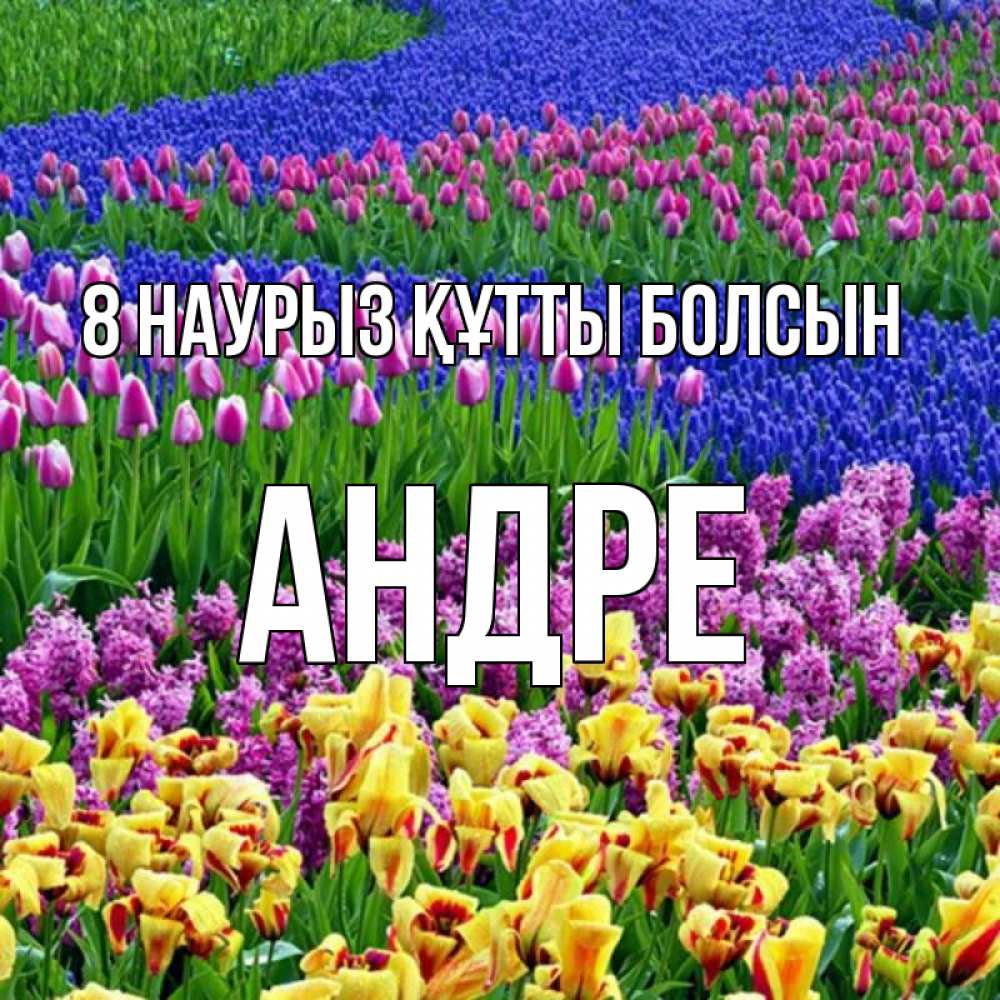 Күн сайын ашық хат с именем, Андре 8 наурыз құтты болсын цветы Онлайн тегін жүктеп алу тілектері бар керемет карта 