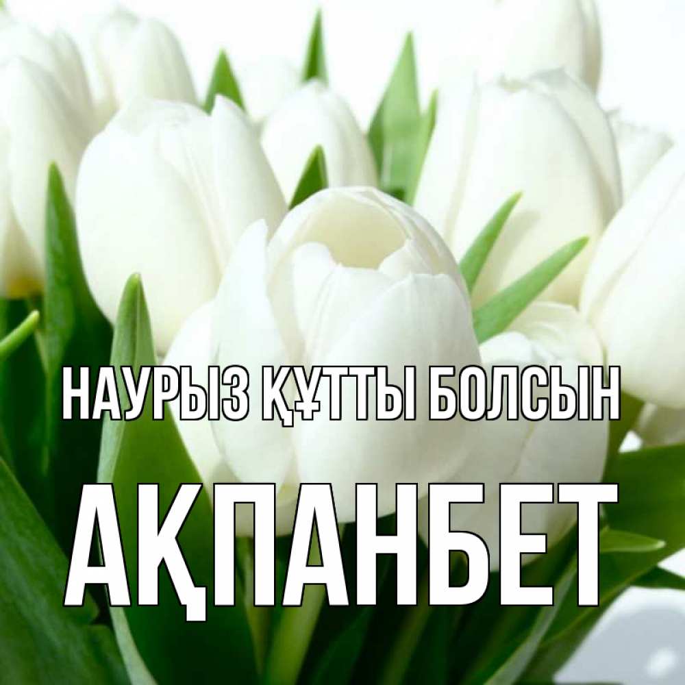 Күн сайын ашық хат с именем, Ақпанбет Наурыз құтты болсын цветы Онлайн тегін жүктеп алу тілектері бар керемет карта 