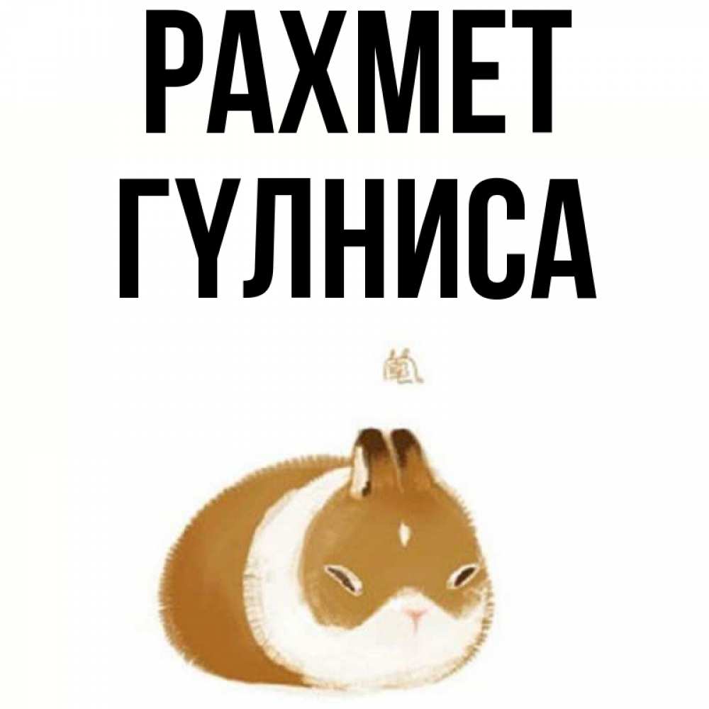 Күн сайын ашық хат с именем, ГҮЛНИСА рахмет коричнево белый домашний питомец Онлайн тегін жүктеп алу тілектері бар керемет карта 