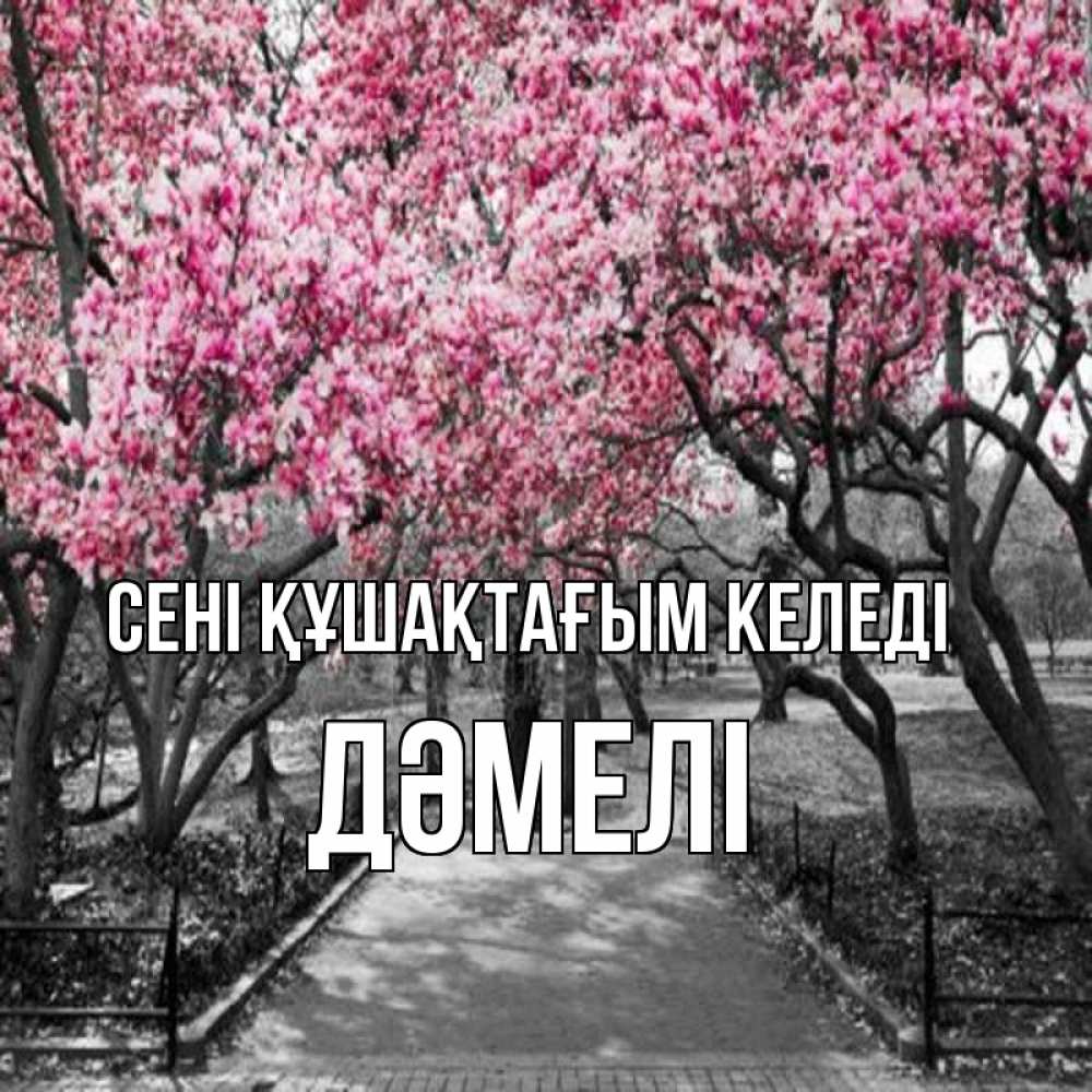 Күн сайын ашық хат с именем, ДӘМЕЛІ сені құшақтағым келеді обработанное фото Онлайн тегін жүктеп алу тілектері бар керемет карта 