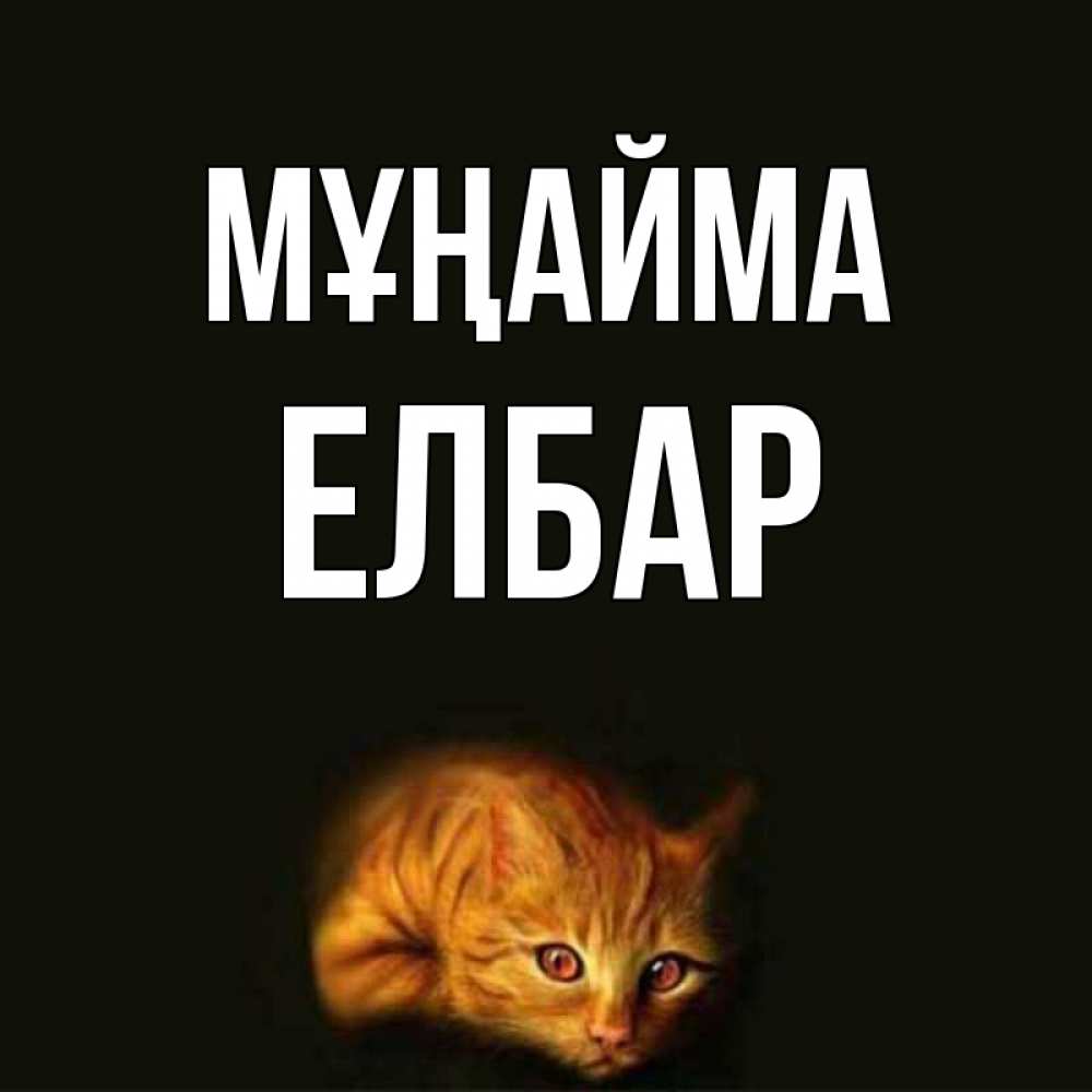 Күн сайын ашық хат с именем, Елбар Мұңайма лежащий кот в темноте Онлайн тегін жүктеп алу тілектері бар керемет карта 