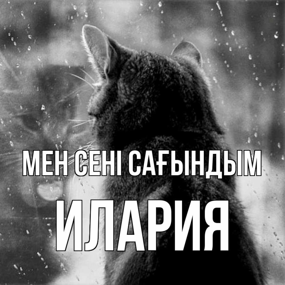 Күн сайын ашық хат с именем, Илария Мен сені сағындым скорее ко мне приходи 1 Онлайн тегін жүктеп алу тілектері бар керемет карта 